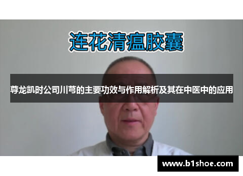 尊龙凯时公司川芎的主要功效与作用解析及其在中医中的应用